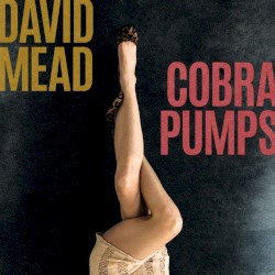 Cobra Pumps