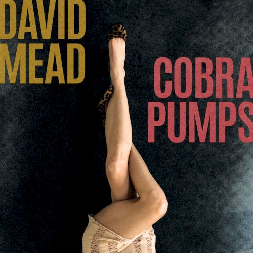 Cobra Pumps