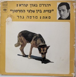 עזית בין שלגי החרמון