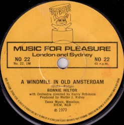 A Windmill in Old Amsterdam
