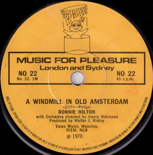 A Windmill in Old Amsterdam