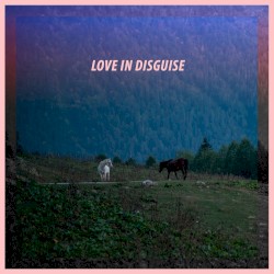 Love in Disguise