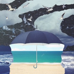 Rainshine