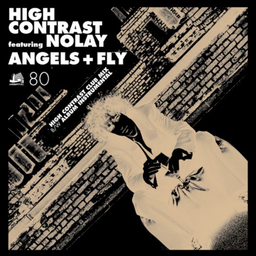 Angels and Fly