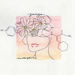 Endorphine