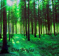 Styrian Woods