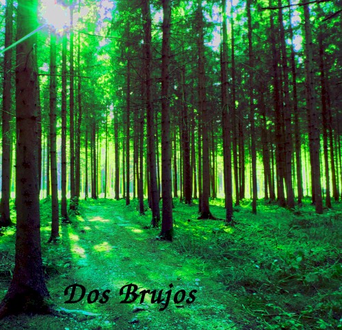 Styrian Woods