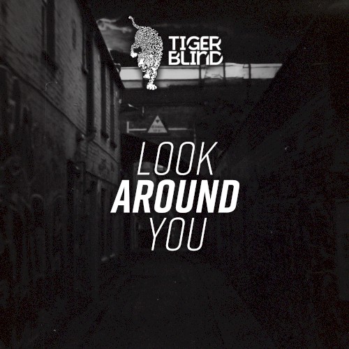 Look Around You