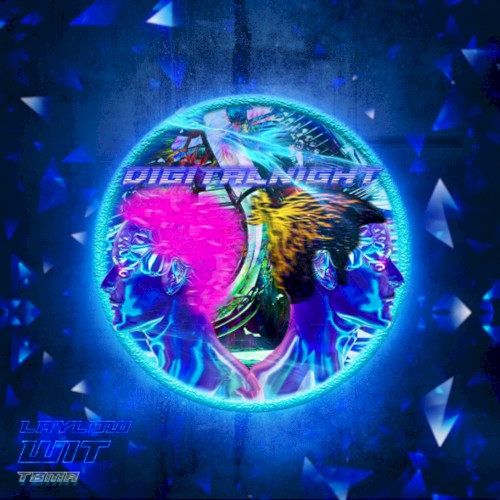 Digital Night