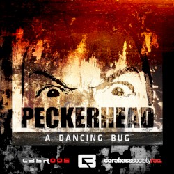 A Dancing Bug