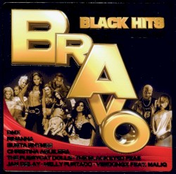 Bravo Black Hits, Vol. 15