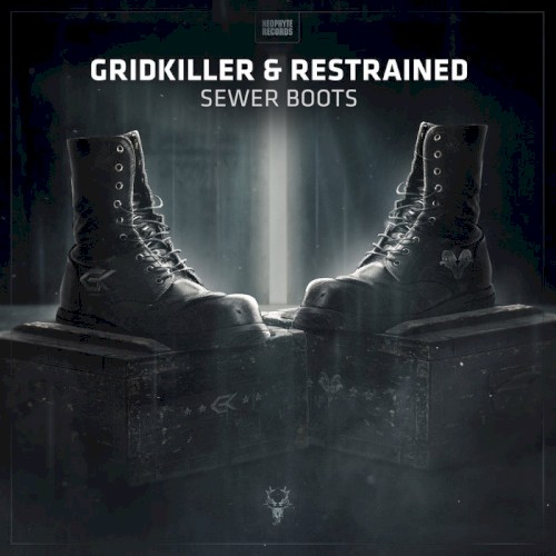Sewer Boots