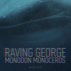 Monodon Monoceros