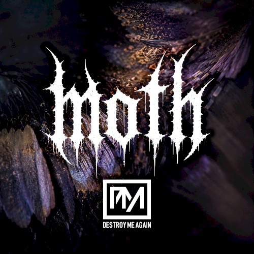Moth