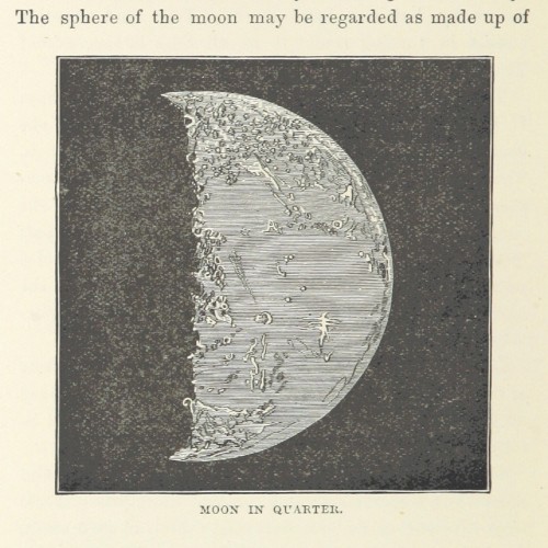 Moon in Quarter