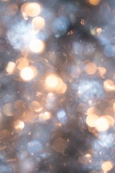 Dazzling Memory