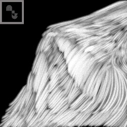 Stream of Static