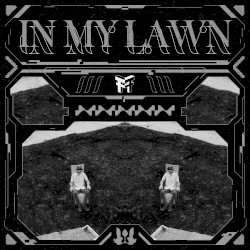 In My Lawn