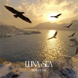 FOREVER