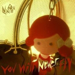 You will never fly