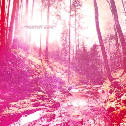 Hearts of Light | Blossoms
