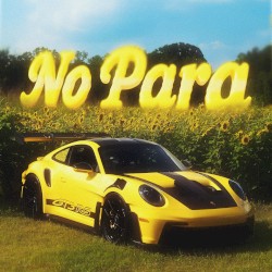 NO PARA