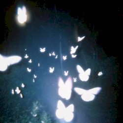 Dance In The Dark
