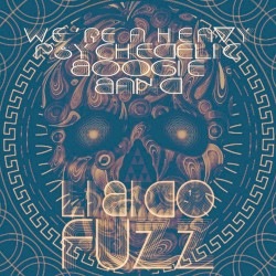 We're a Heavy Psychedelic Boogie Band
