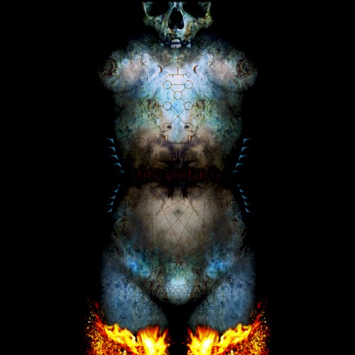 A Constellation of Skin