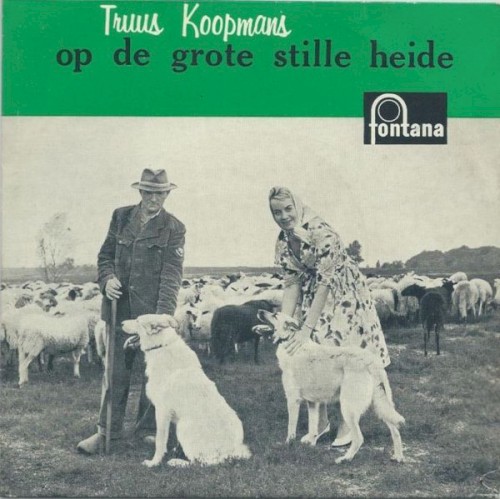 Op de grote stille heide