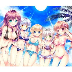 「姫と乙女のヤキモチLOVE」ボーカルソングアルバム「きらめき夏ソング！」