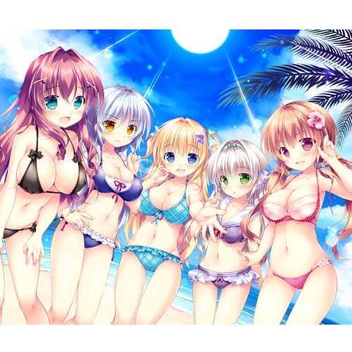 「姫と乙女のヤキモチLOVE」ボーカルソングアルバム「きらめき夏ソング！」