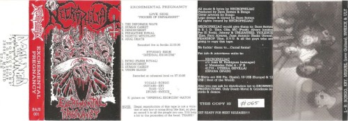 Excremental Pregnancy