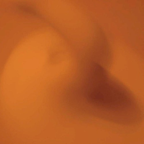 Vivipary