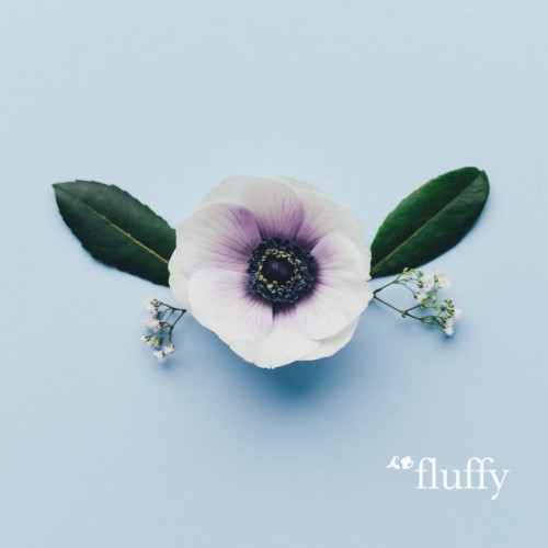 fluffy