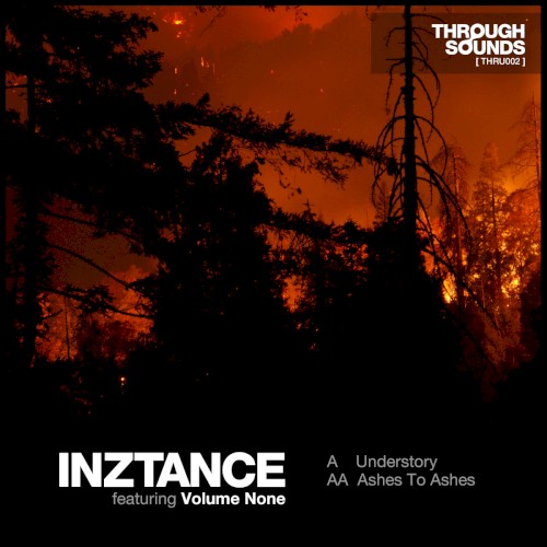 Understory / Ashes to Ashes