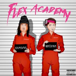 Flex Academy
