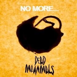 No More…