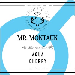 Mr Montauk