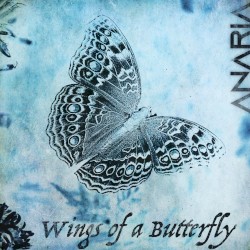 Wings of a Butterfly