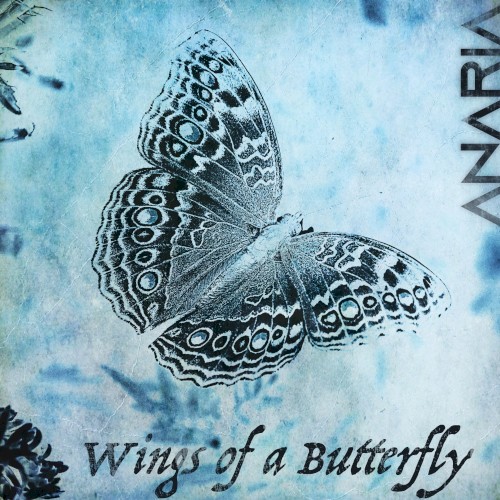 Wings of a Butterfly