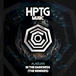 In the Darkness (The Remixes)