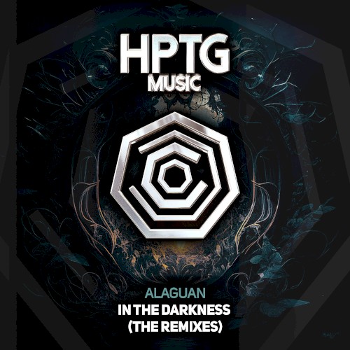 In the Darkness (The Remixes)