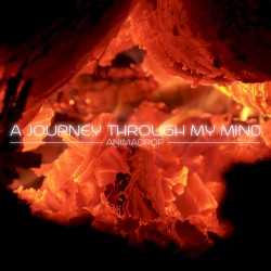 A journey through my mind