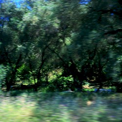Wind