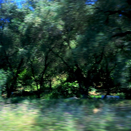Wind