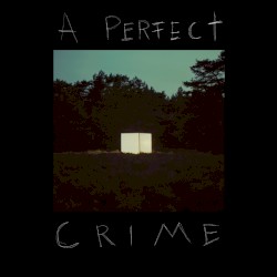 A Perfect Crime
