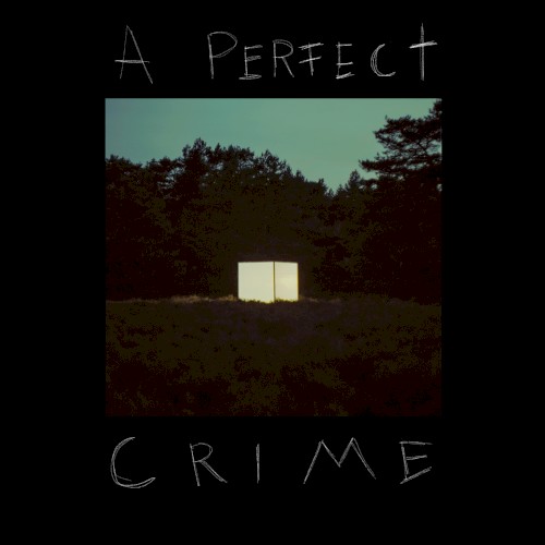 A Perfect Crime