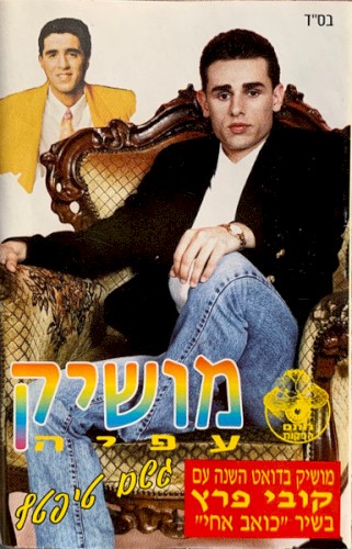 גשם טיפטף