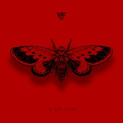 In the Dark (Cicada)